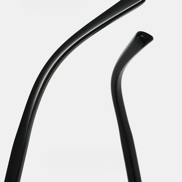 The Venice Sunglasses